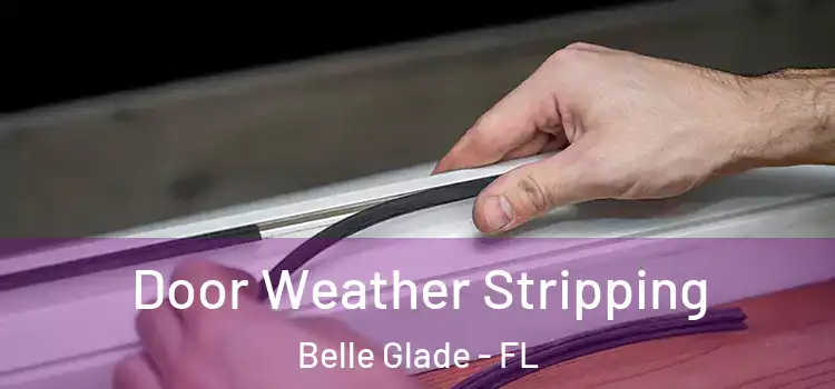  Door Weather Stripping Belle Glade - FL
