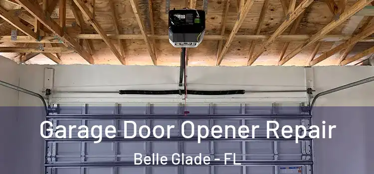  Garage Door Opener Repair Belle Glade - FL