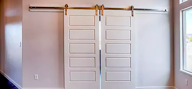 Glass Barn Door with Installation Hardware Kit Belle Glade